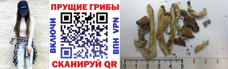 Галлюциногенные грибы мухоморы  Городище 